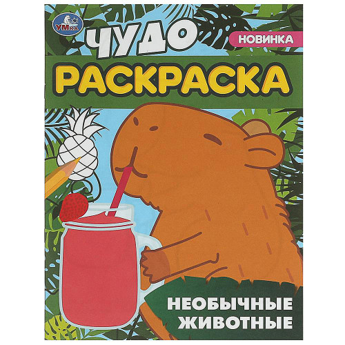 УМКА Раскраска "Чудо-раскраска", бумага, 21,4х29 см, 8 стр., 10 дизайнов УМКА