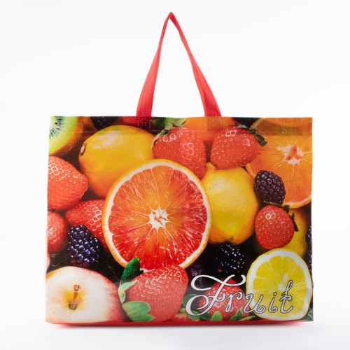 Сумка хозяйственная без молнии, 12 л, цвет красный/разноцветный (производитель не указан)
