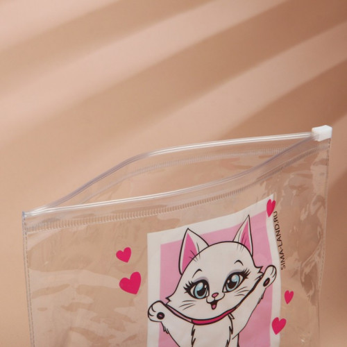 Косметичка из прозрачного PVC 21 х2 х14 см «Самая милая» Beauty Fox