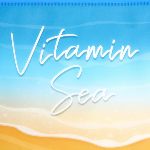 Косметичка для купальника Vitamin sea, 24 х 17 см. NAZAMOK