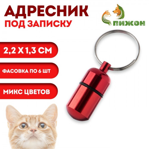 Адресник-капсула под записку, 2,2 х 1,3 см, фасовка 6 шт, микс Пижон