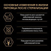 Влажный корм PRO PLAN для стерилизованных кошек, говядина в соусе, пауч, 85 г Pro Plan