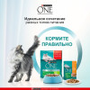 Влажный корм Purinа One для домашних кошек, курица/морковь, 75г Purina ONE