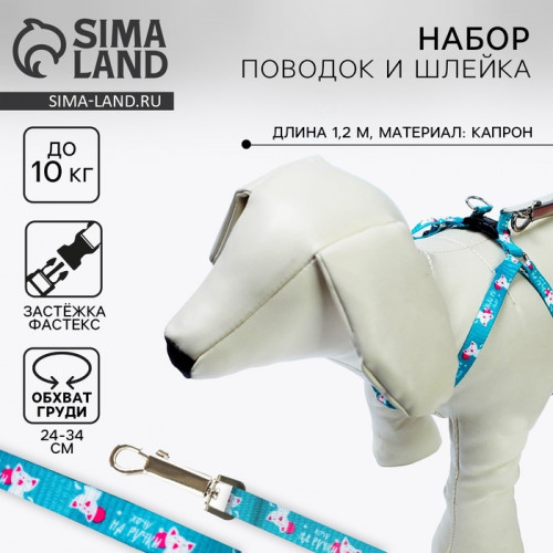 Поводок «Хочу на ручки» 120 см, шлейка 24-34×1 см Пушистое счастье