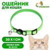 Ошейник кошачий 
