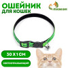 Ошейник кошачий со светоотражающим покрытием 