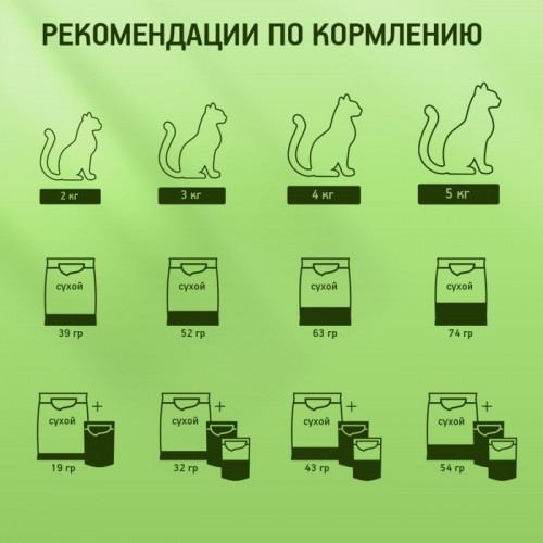 Влажный корм KiteKat для кошек, курица в желе, пауч, 85 г Kitekat