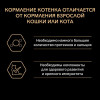 Влажный корм PRO PLAN JUNIOR для котят, индейка в соусе, пауч, 85 г Pro Plan