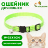 Ошейник кошачий светоотражающий, с серебряным бубенчиком, 19-32 х 1 см, зелёный Пижон