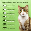 Влажный корм KiteKat для кошек, курица в желе, пауч, 85 г Kitekat