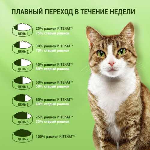 Влажный корм KiteKat для кошек, курица в желе, пауч, 85 г Kitekat