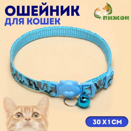 Ошейник кошачий Пижон 