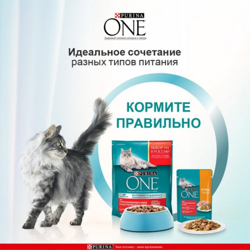 Влажный корм Purinа One для стерилизованных кошек, курица/фасоль, 75 г Purina ONE