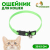 Ошейник кошачий с бубенчиком, 30 х 1 см, полиэстер, зелёный Пижон