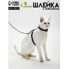 Комплект для кошек, ширина 1 см, ОШ 16,5-27 см, ОГ 21-35 см, поводок 120 см, чёрный Пижон
