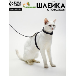Комплект для кошек, ширина 1 см, ОШ 16,5-27 см, ОГ 21-35 см, поводок 120 см, чёрный