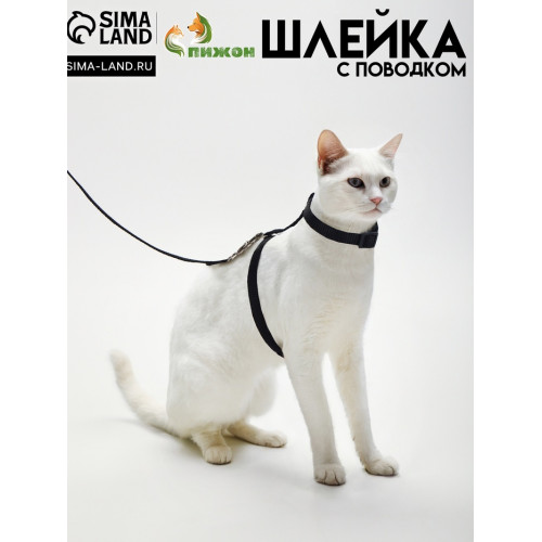 Комплект для кошек, ширина 1 см, ОШ 16,5-27 см, ОГ 21-35 см, поводок 120 см, чёрный Пижон