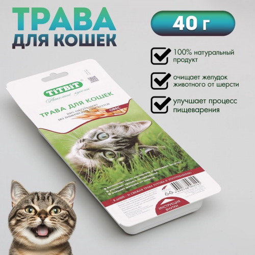 Трава Titbit для кошек, овес, 40 г TiTBiT