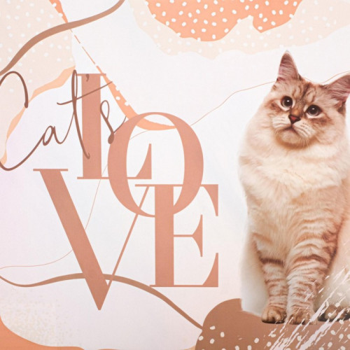Коврик под миску Cat's love, 43х28 см Пушистое счастье