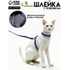 Комплект для кошек светоотражающий,ширина 1 см,шлейка 21-35 см,поводок 120 см, синий Пижон