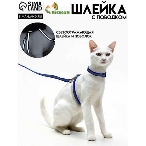 Комплект для кошек светоотражающий,ширина 1 см,шлейка 21-35 см,поводок 120 см, синий Пижон