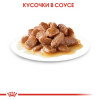 Влажный корм RC Instinctive для кошек, в соусе, пауч, 85 г Royal Canin