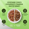 Влажный корм KiteKat для кошек, курица в желе, пауч, 85 г Kitekat
