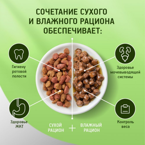 Влажный корм KiteKat для кошек, курица в желе, пауч, 85 г Kitekat