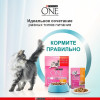 Влажный корм Purinа One для котят, курица/морковь, 75 г Purina ONE