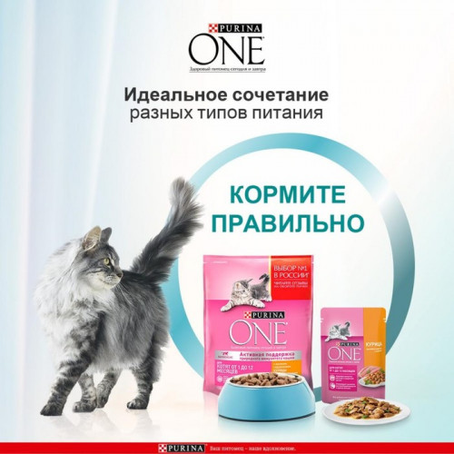 Влажный корм Purinа One для котят, курица/морковь, 75 г Purina ONE
