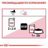 Влажный корм RC Instinctive для кошек, в соусе, пауч, 85 г Royal Canin