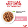 Влажный корм RC Kitten Instinctive для котят, в соусе, пауч, 85 г Royal Canin