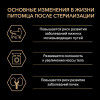Влажный корм PRO PLAN для стерилизованных кошек, океаническая рыба в соусе, пауч, 85 г Pro Plan