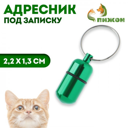 Адресник - капсула под записку, 2,2 х 1,3 см, зелёный Пижон