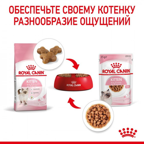 Влажный корм RC Kitten Instinctive для котят, в соусе, пауч, 85 г Royal Canin