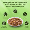 Влажный корм KiteKat для кошек, курица в желе, пауч, 85 г Kitekat