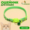 Ошейник кошачий Пижон 