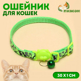 Ошейник кошачий Пижон 