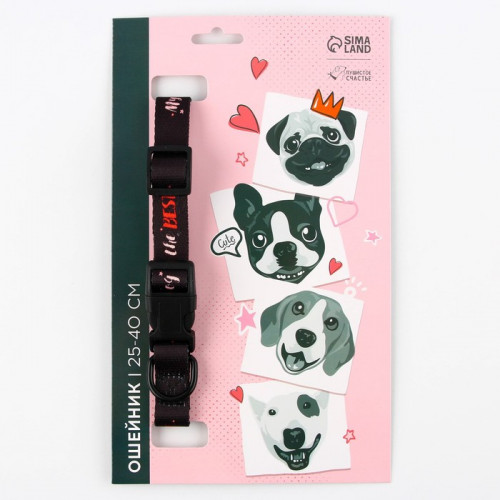 Ошейник My dog is the best, застёжка - фастекс, 2 см 25-40 см Пушистое счастье