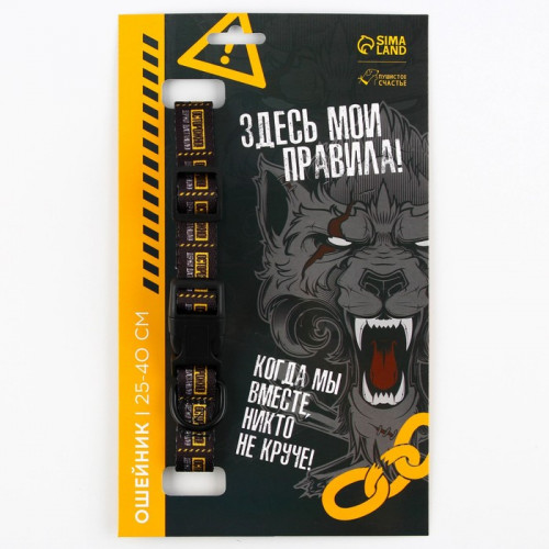 Ошейник «Осторожно», застёжка - фастекс, 2 см 25-40 см Пушистое счастье