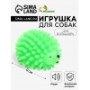 Игрушка пищащая 