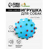 Игрушка пищащая 