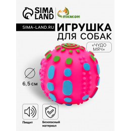 Игрушка пищащая 