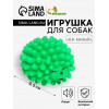 Игрушка пищащая 