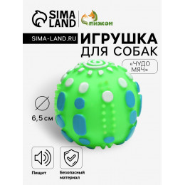Игрушка пищащая 