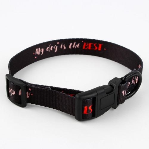 Ошейник My dog is the best, застёжка - фастекс, 2 см 25-40 см Пушистое счастье