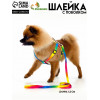 Комплект 