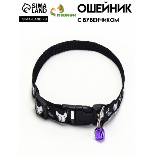 Ошейник 