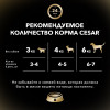 Влажный корм Cesar для собак, жаркое с уткой, пауч, 85 г Cesar