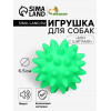 Игрушка пищащая 